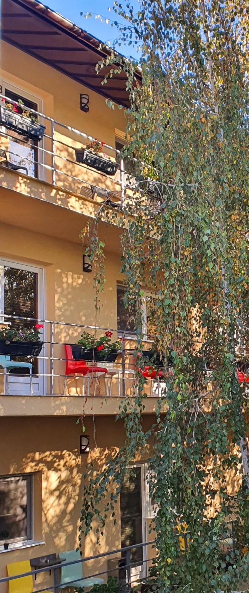 Vila Sia Бухарест Экстерьер фото